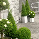 Wedding Plant Displays, Christmas Displays and Interior Plants