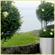 Wedding Plant Displays, Christmas Displays and Interior Plants